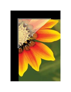 Esquinas de Montaje Archival Lineco 1.27 cm Transparentes 240 Pzas 2