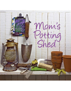 Plantilla LetterCraft Westcott Fuente Angelina Script 3 cm 2