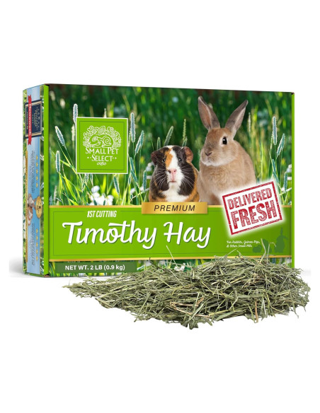 Heno de Timothy 1ra Cosecha Small Pet Select 0.91 kg