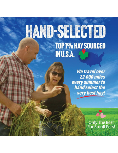 Heno de Timothy 1ra Cosecha Small Pet Select 0.91 kg