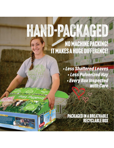 Heno de Timothy 1ra Cosecha Small Pet Select 0.91 kg