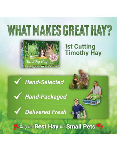 Heno de Timothy 1ra Cosecha Small Pet Select 0.91 kg