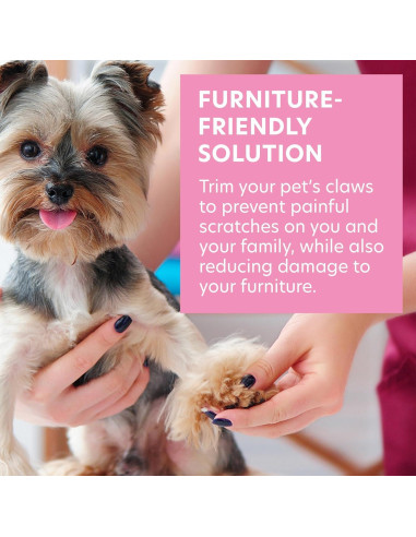 Lima de Uñas para Mascotas Bona Fide Beauty Vidrio Checo 13cm