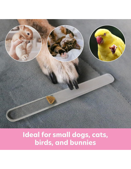 Lima de Uñas para Mascotas Bona Fide Beauty Vidrio Checo 13cm