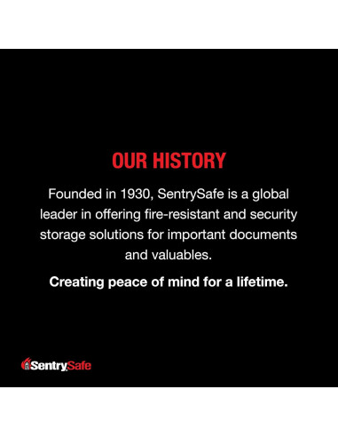 Caja de Seguridad SentrySafe X041E con Teclado Digital 0.4 Pies