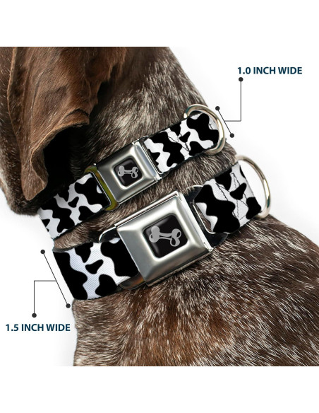 Collar para Perros Buckle-Down 24.1-33 cm con Hebilla de Seguridad Collar para Perros Buckle-Down 24.1-33 cm con Hebilla de Seguridad
