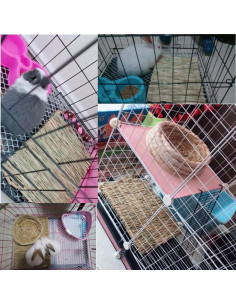 Alfombra de Hierba Natural Hamiledyi 4 Pcs para Mascotas 2