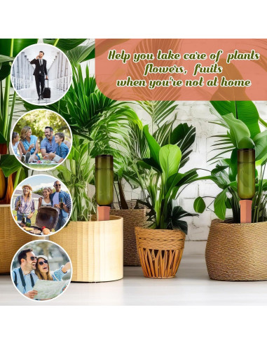 Juego de Riego Automático SiliFine 3 Picos y Botellas 770ml