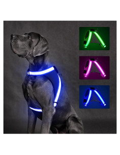 Arnés LED ChalkLit para Perros Pequeños Azul, Recargable USB