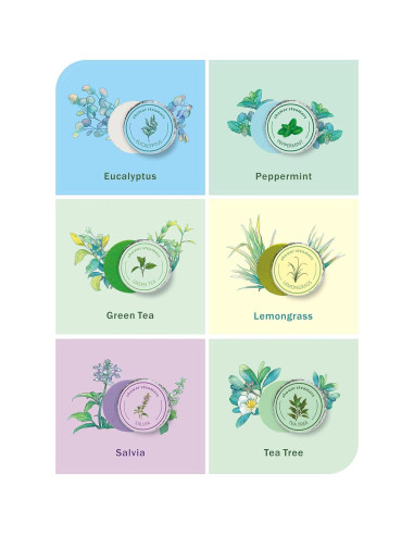 Bombas de vapor para ducha Midlaso - 6 fragancias aromáticas