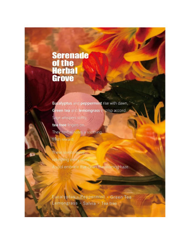 Bombas de vapor para ducha Midlaso - 6 fragancias aromáticas