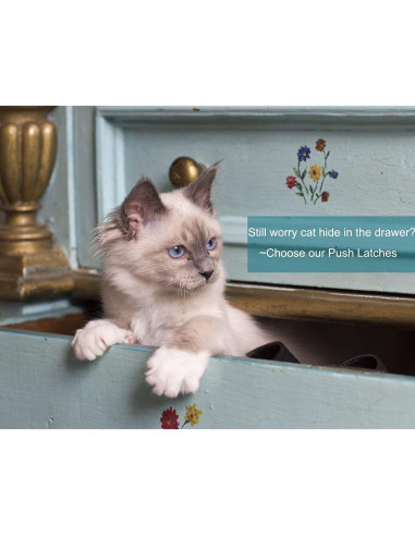 Cierres de Armario RV Gynthias - 4 Pestillos Universales Negros