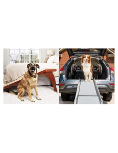 Rampas para cama y auto PetSafe CozyUp y Happy Ride