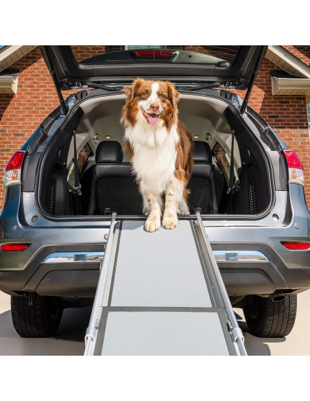 Rampas para cama y auto PetSafe CozyUp y Happy Ride