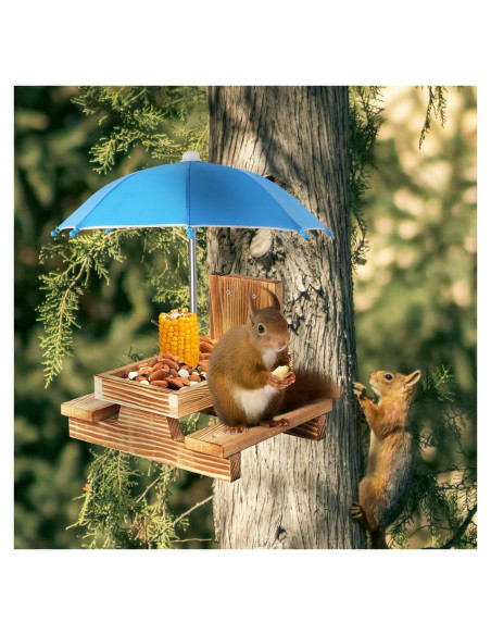 Comedero para Ardillas Gnodary con Paraguas Azul Claro