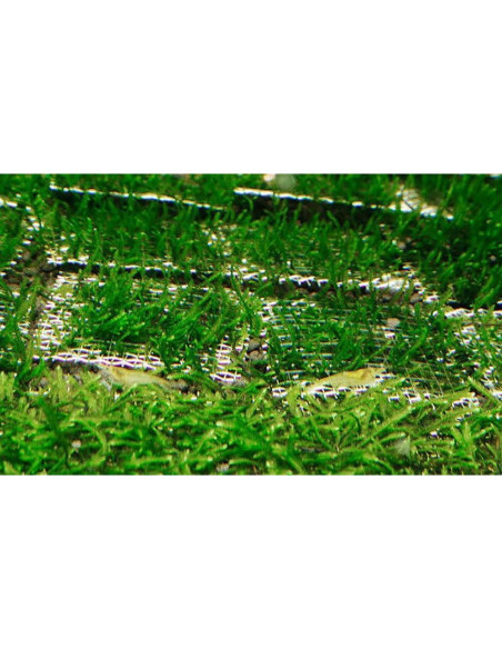 5PCS Malla de Alambre Acero Inoxidable SQXBK 10x20cm Acuario 5PCS Malla de Alambre Acero Inoxidable SQXBK 10x20cm Acuario