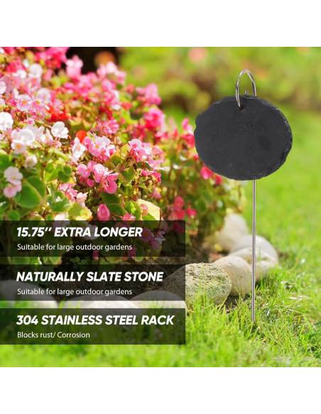 12 Etiquetas de Pizarra para Jardín Colingmill Ovaladas 12 Etiquetas de Pizarra para Jardín Colingmill Ovaladas