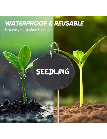 12 Etiquetas de Pizarra para Jardín Colingmill Ovaladas 12 Etiquetas de Pizarra para Jardín Colingmill Ovaladas