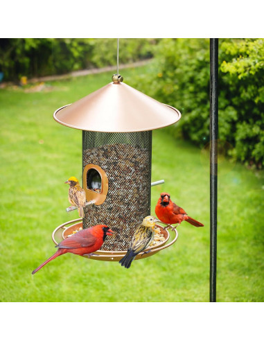 Comedero Colgante para Aves Samhe de Metal 1.36 kg Bronce