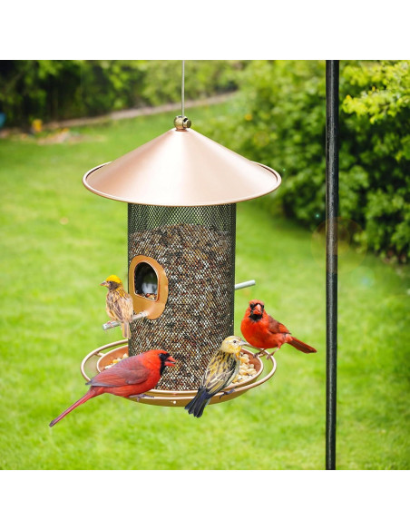 Comedero Colgante para Aves Samhe de Metal 1.36 kg Bronce