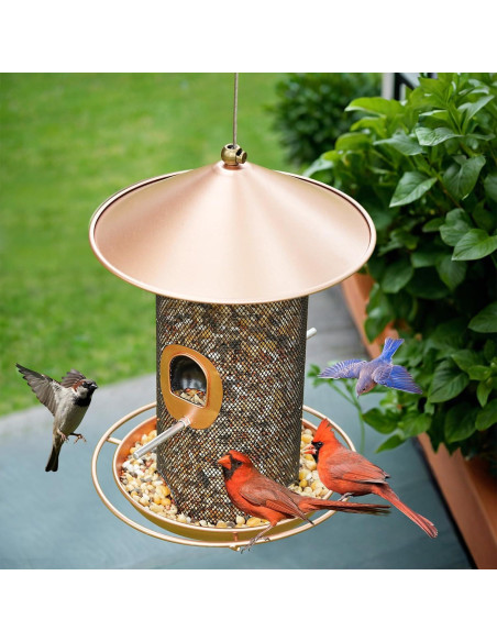 Comedero Colgante para Aves Samhe de Metal 1.36 kg Bronce