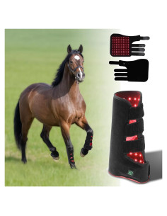 Terapia de Luz Roja para Caballos - Dispositivo LED 660nm/850nm