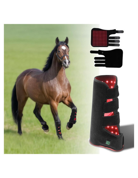 Terapia de Luz Roja para Caballos - Dispositivo LED 660nm/850nm