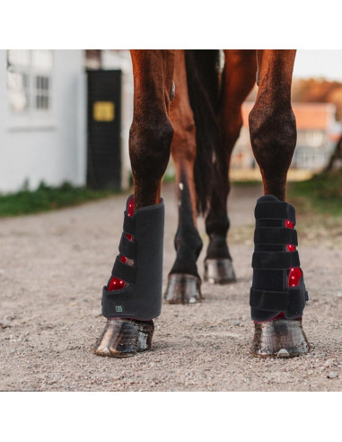 Terapia de Luz Roja para Caballos - Dispositivo LED 660nm/850nm