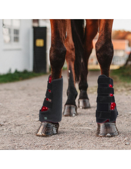 Terapia de Luz Roja para Caballos - Dispositivo LED 660nm/850nm