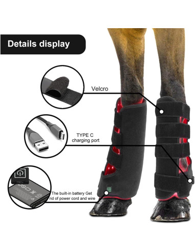 Terapia de Luz Roja para Caballos - Dispositivo LED 660nm/850nm