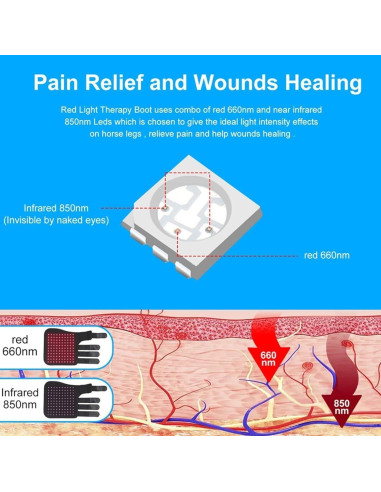 Terapia de Luz Roja para Caballos - Dispositivo LED 660nm/850nm