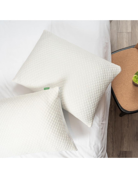 Cojines de Espuma de Memoria KUYOYGA Tamaño Reina Juego de 2