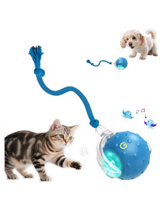 Bola de Juguete Interactiva para Gatos Petayouj - Azul