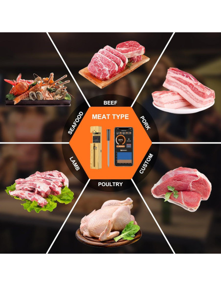 Termómetro de Carne Inalámbrico MOGUNDAM con Sonda Cerámica