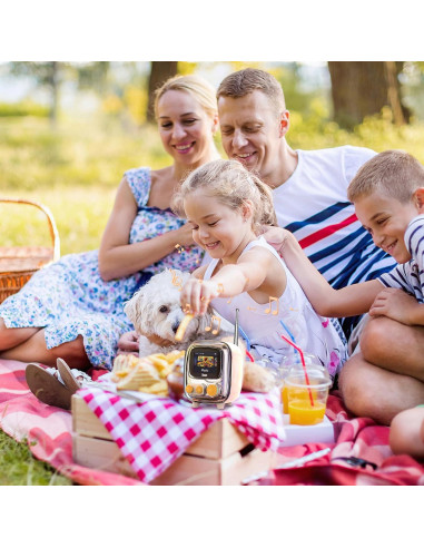 Divoom Tiivoo-2 Crema Altavoz Bluetooth Retro con Radio FM