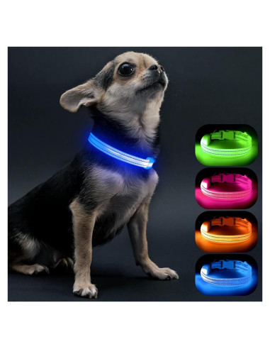 Collar LED Recargable para Perros Pequeños Visinite Azul