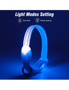 Collar LED Recargable para Perros Pequeños Visinite Azul 2