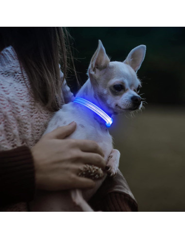 Collar LED Recargable para Perros Pequeños Visinite Azul