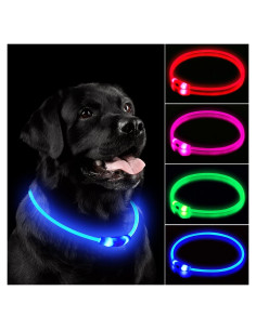 Collar de Perro LED NOVKIN Recargable Impermeable Ajustable