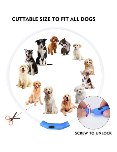 Collar de Perro LED NOVKIN Recargable Impermeable Ajustable