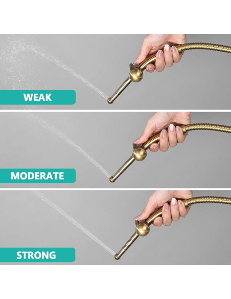 Rociador de Bidet Manual Barrock Dorado Cepillado con Manguera