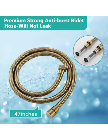 Rociador de Bidet Manual Barrock Dorado Cepillado con Manguera