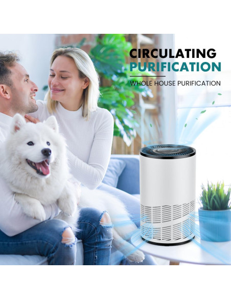 Purificador de Aire Sweetcrispy JHQ-D22-WT HEPA 3-en-1 Blanco