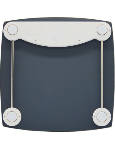 Báscula Digital Taylor de Baño Acero Inoxidable 440 LB