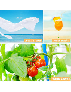 Conjunto de Aceites Aromáticos ESSLUX 6x10ml para Jabones y Velas 2