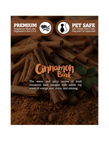 Vela de Soja Natural Shortie's Candle 255g Aroma Canela