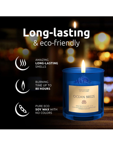 Vela de Cera de Soja Orgánica Brisa Oceánica 10oz en Tarro Vidrio