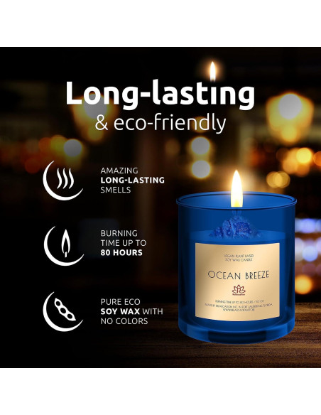 Vela de Cera de Soja Orgánica Brisa Oceánica 10oz en Tarro Vidrio