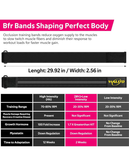 Bandas BFR de Glúteo WALITO - Entrenamiento de Piernas y Caderas