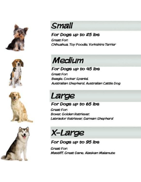 Cama ortopédica para perros PETMAKER 66x48 cm viscoelástica